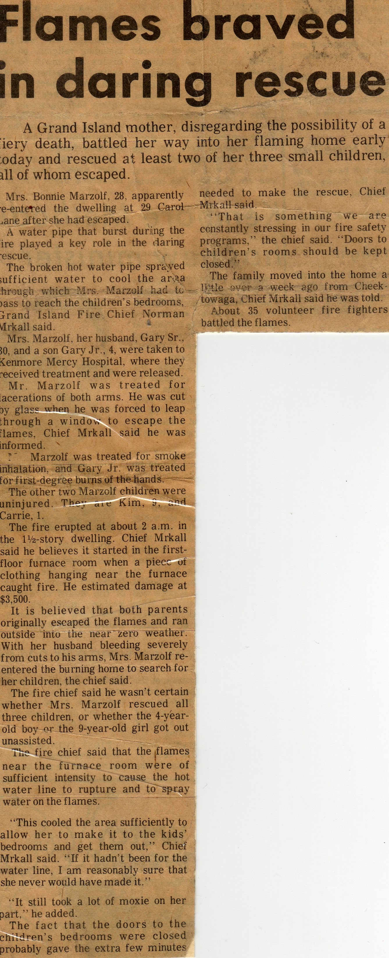 Newspaper Article